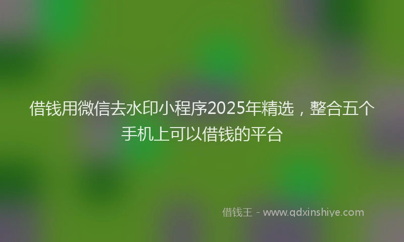 借钱用微信去水印小程序2025年精选，整合五个手机上可以借钱的平台