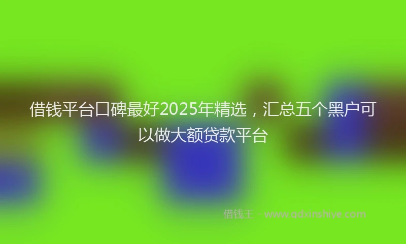 借钱平台口碑最好2025年精选，汇总五个黑户可以做大额贷款平台