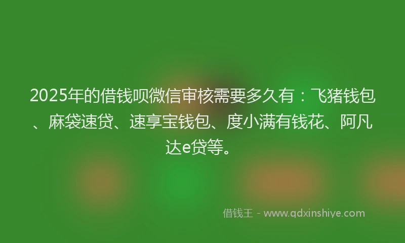 2025年的借钱呗微信审核需要多久有：飞猪钱包、麻袋速贷、速享宝钱包、度小满有钱花、阿凡达e贷等。