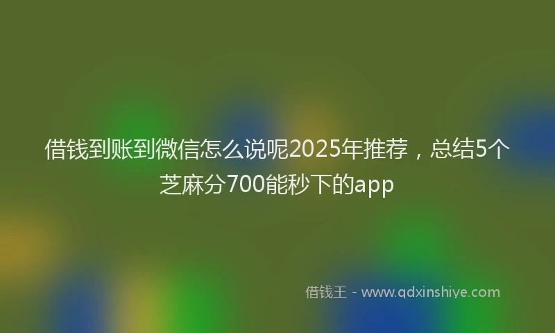 借钱到账到微信怎么说呢2025年推荐，总结5个芝麻分700能秒下的app