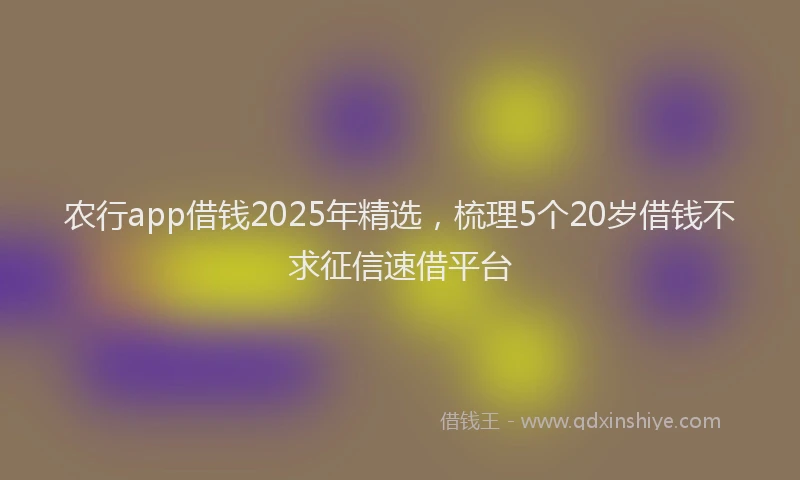 农行app借钱2025年精选，梳理5个20岁借钱不求征信速借平台