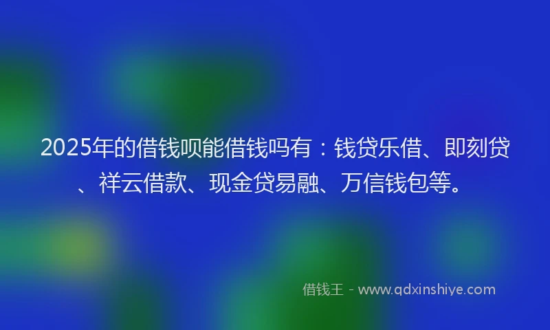 2025年的借钱呗能借钱吗有：钱贷乐借、即刻贷、祥云借款、现金贷易融、万信钱包等。