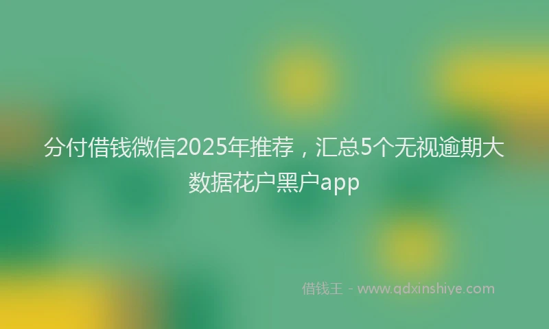 分付借钱微信2025年推荐，汇总5个无视逾期大数据花户黑户app