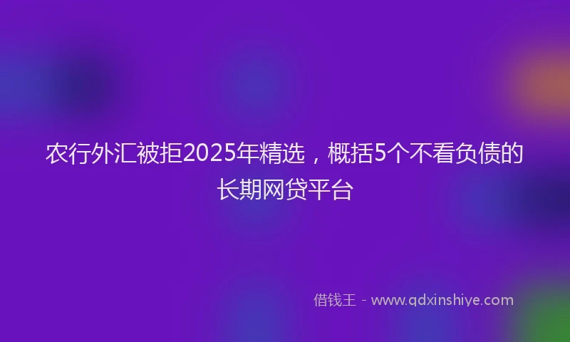 农行外汇被拒2025年精选，概括5个不看负债的长期网贷平台