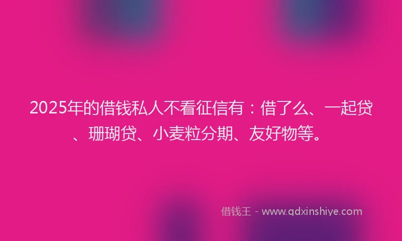 2025年的借钱私人不看征信有：借了么、一起贷、珊瑚贷、小麦粒分期、友好物等。