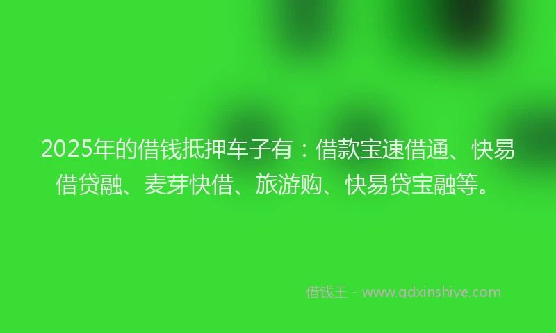 2025年的借钱抵押车子有：借款宝速借通、快易借贷融、麦芽快借、旅游购、快易贷宝融等。