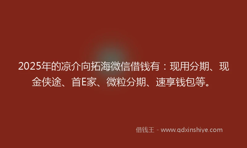 2025年的凉介向拓海微信借钱有：现用分期、现金侠途、首E家、微粒分期、速享钱包等。
