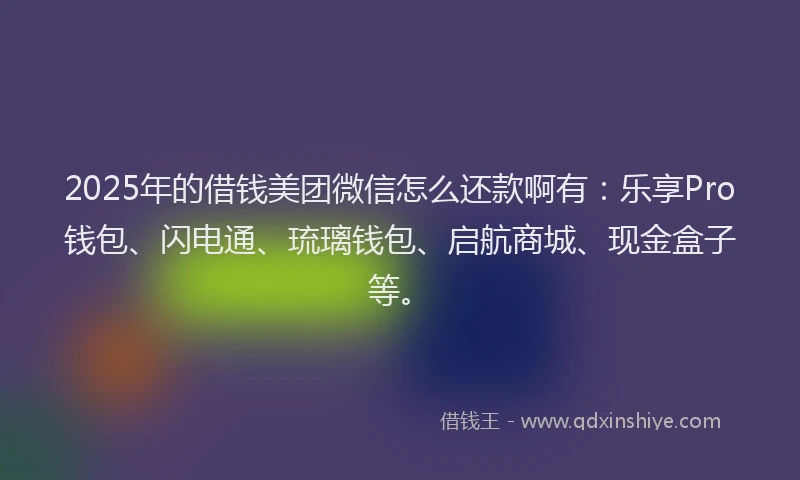 2025年的借钱美团微信怎么还款啊有：乐享Pro钱包、闪电通、琉璃钱包、启航商城、现金盒子等。