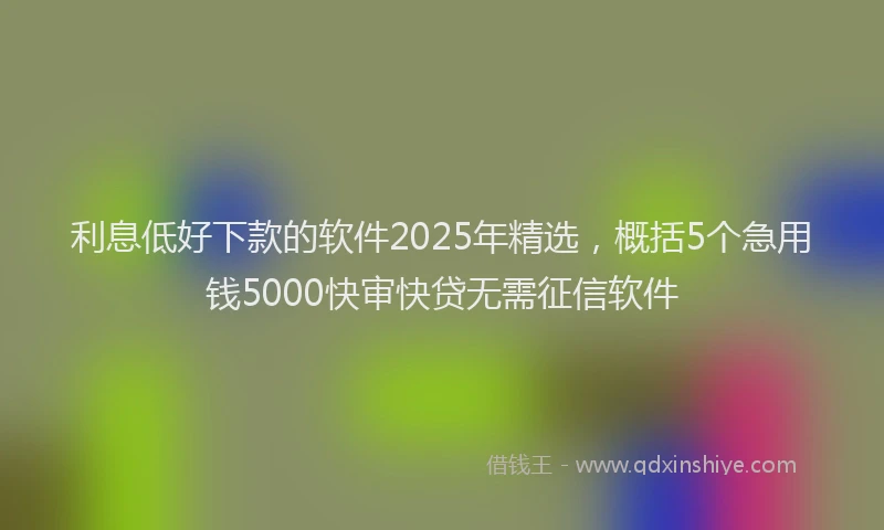 利息低好下款的软件2025年精选，概括5个急用钱5000快审快贷无需征信软件