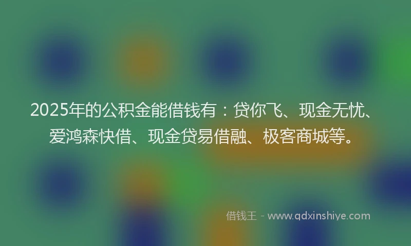 2025年的公积金能借钱有：贷你飞、现金无忧、爱鸿森快借、现金贷易借融、极客商城等。