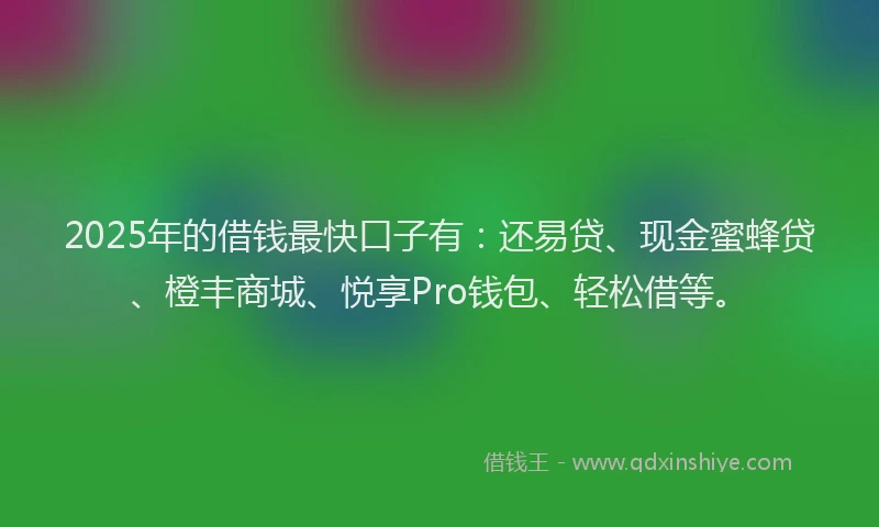2025年的借钱最快口子有：还易贷、现金蜜蜂贷、橙丰商城、悦享Pro钱包、轻松借等。