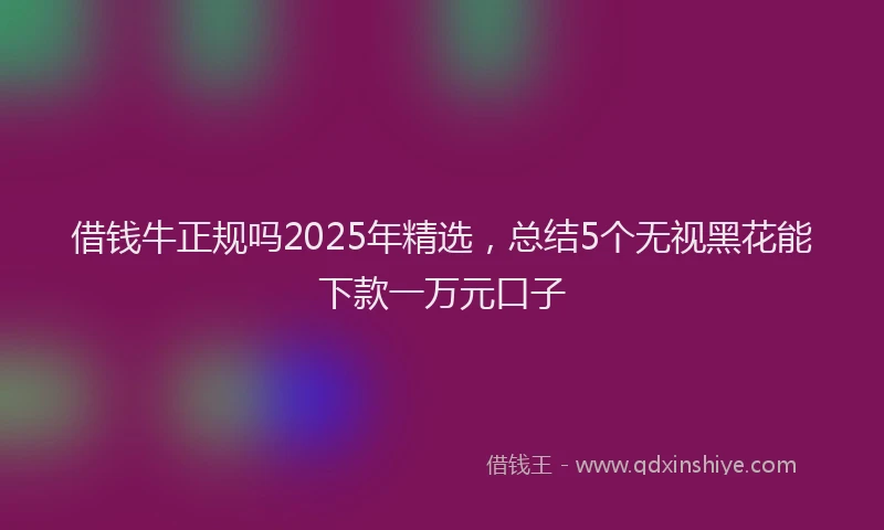 借钱牛正规吗2025年精选，总结5个无视黑花能下款一万元口子