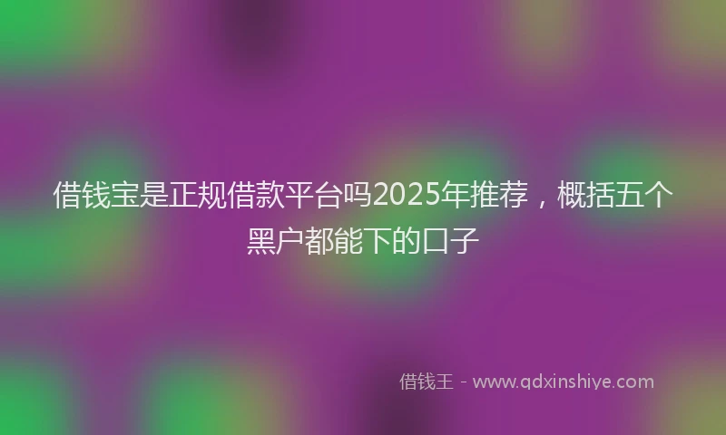 借钱宝是正规借款平台吗2025年推荐，概括五个黑户都能下的口子