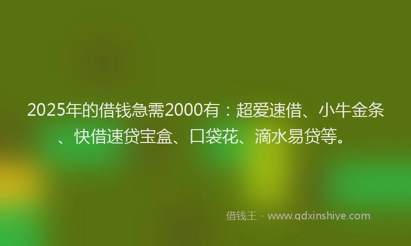 2025年的借钱急需2000有：超爱速借、小牛金条、快借速贷宝盒、口袋花、滴水易贷等。