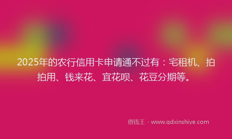 2025年的农行信用卡申请通不过有：宅租机、拍拍用、钱来花、宜花呗、花豆分期等。
