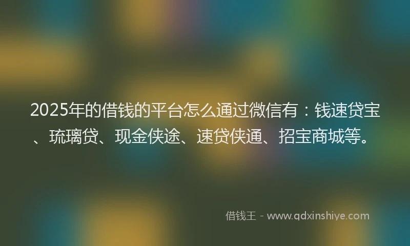 2025年的借钱的平台怎么通过微信有：钱速贷宝、琉璃贷、现金侠途、速贷侠通、招宝商城等。