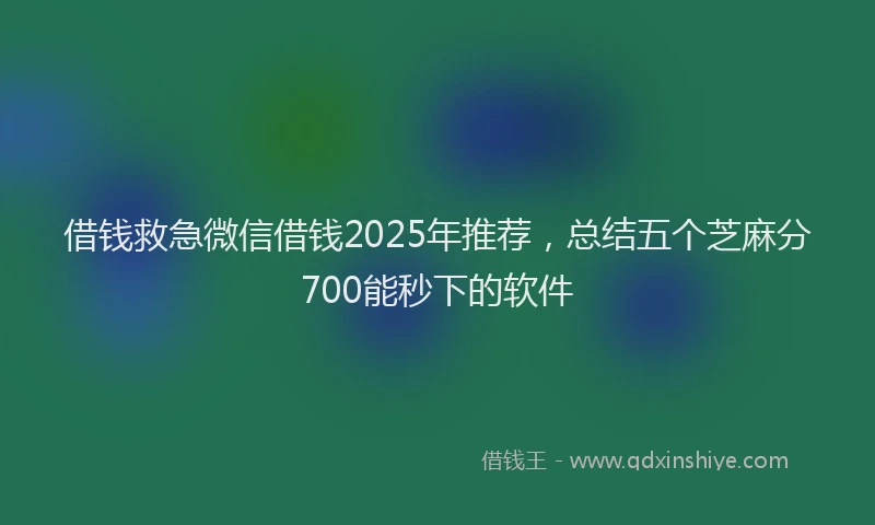 借钱救急微信借钱2025年推荐，总结五个芝麻分700能秒下的软件