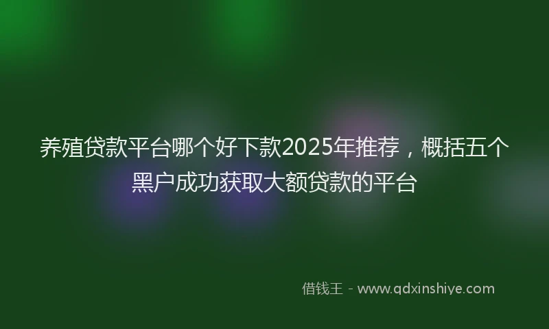 养殖贷款平台哪个好下款2025年推荐，概括五个黑户成功获取大额贷款的平台