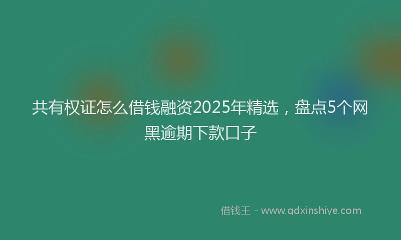 共有权证怎么借钱融资2025年精选，盘点5个网黑逾期下款口子