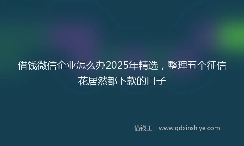 借钱微信企业怎么办2025年精选，整理五个征信花居然都下款的口子