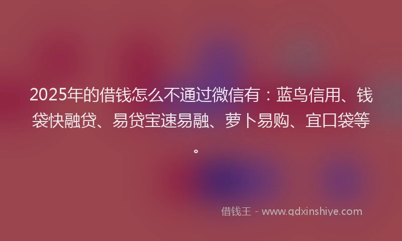 2025年的借钱怎么不通过微信有：蓝鸟信用、钱袋快融贷、易贷宝速易融、萝卜易购、宜口袋等。
