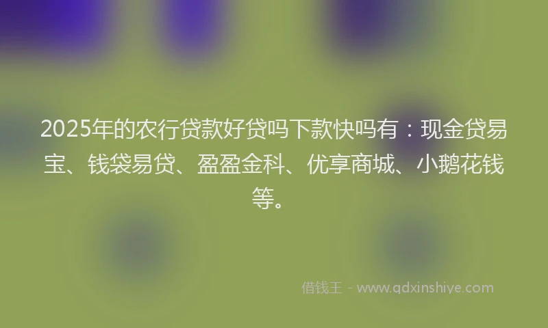 2025年的农行贷款好贷吗下款快吗有：现金贷易宝、钱袋易贷、盈盈金科、优享商城、小鹅花钱等。
