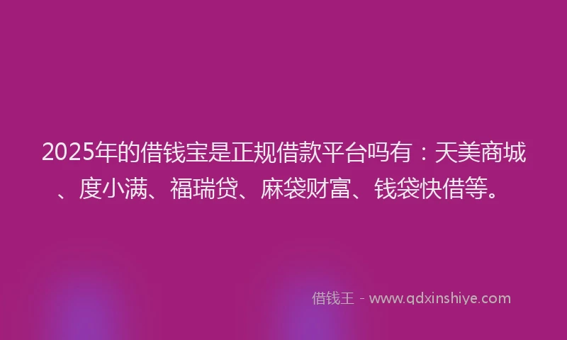 2025年的借钱宝是正规借款平台吗有：天美商城、度小满、福瑞贷、麻袋财富、钱袋快借等。