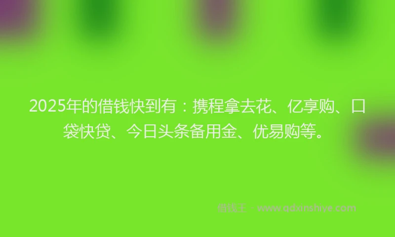 2025年的借钱快到有：携程拿去花、亿享购、口袋快贷、今日头条备用金、优易购等。