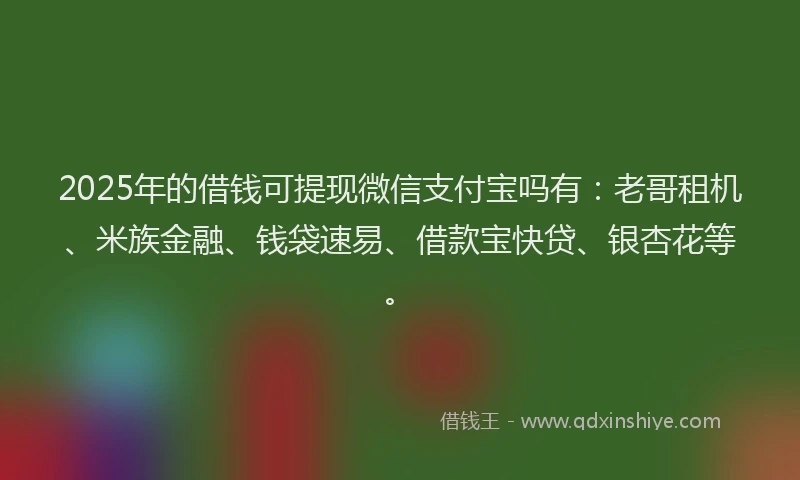 2025年的借钱可提现微信支付宝吗有：老哥租机、米族金融、钱袋速易、借款宝快贷、银杏花等。