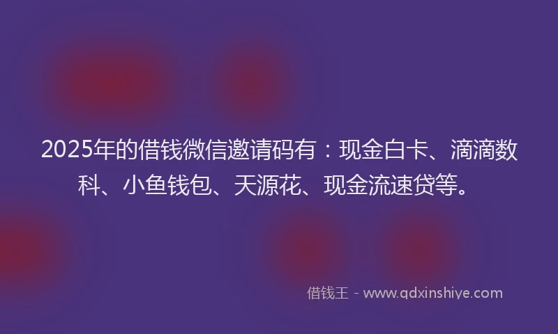 2025年的借钱微信邀请码有：现金白卡、滴滴数科、小鱼钱包、天源花、现金流速贷等。