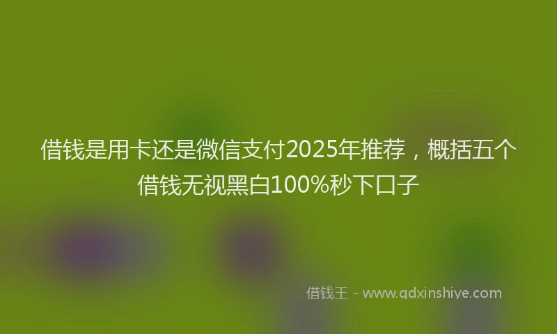 借钱是用卡还是微信支付2025年推荐，概括五个借钱无视黑白100%秒下口子