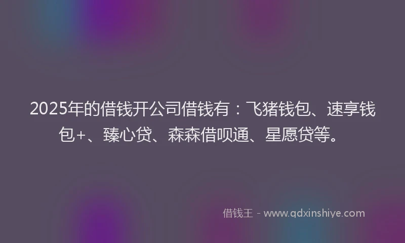 2025年的借钱开公司借钱有：飞猪钱包、速享钱包+、臻心贷、森森借呗通、星愿贷等。