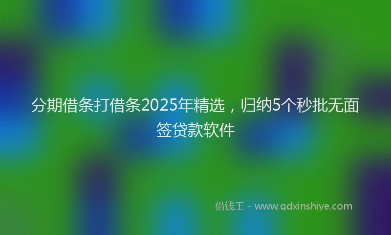 分期借条打借条2025年精选，归纳5个秒批无面签贷款软件