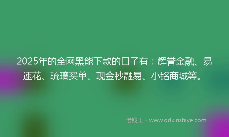 2025年的全网黑能下款的口子有：辉誉金融、易速花、琉璃买单、现金秒融易、小铭商城等。