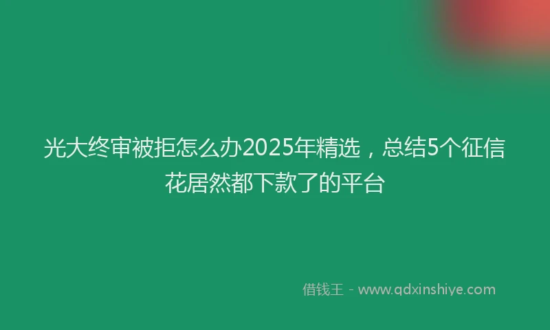 光大终审被拒怎么办2025年精选，总结5个征信花居然都下款了的平台