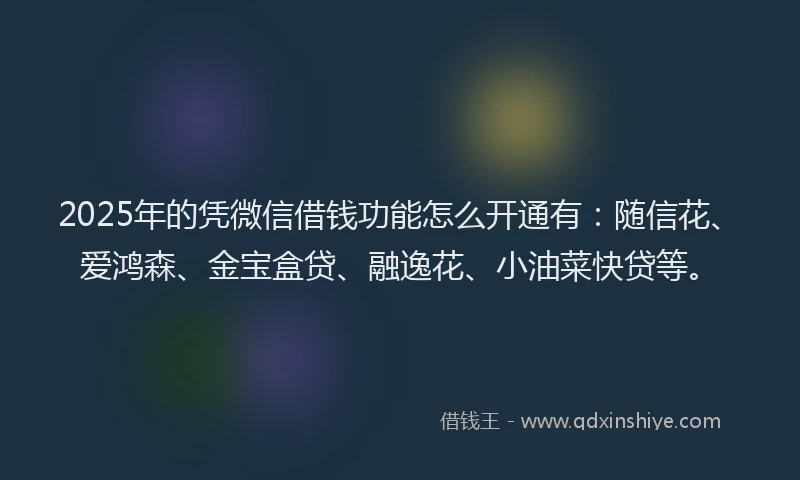 2025年的凭微信借钱功能怎么开通有：随信花、爱鸿森、金宝盒贷、融逸花、小油菜快贷等。