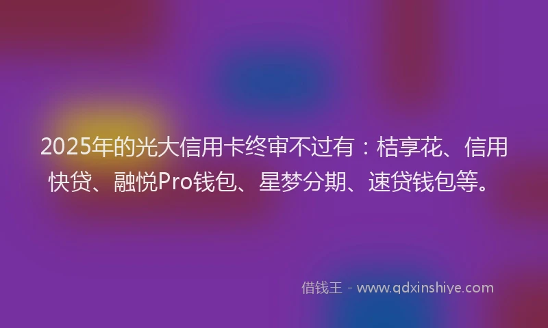 2025年的光大信用卡终审不过有：桔享花、信用快贷、融悦Pro钱包、星梦分期、速贷钱包等。