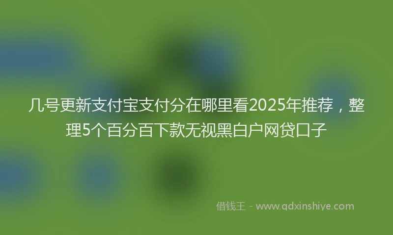 几号更新支付宝支付分在哪里看2025年推荐，整理5个百分百下款无视黑白户网贷口子