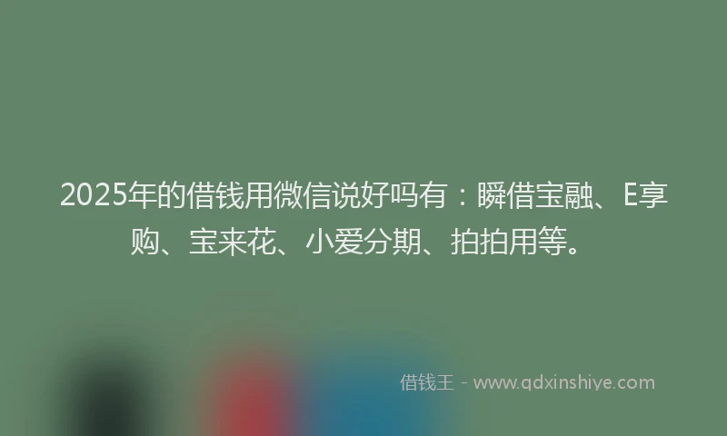 2025年的借钱用微信说好吗有：瞬借宝融、E享购、宝来花、小爱分期、拍拍用等。