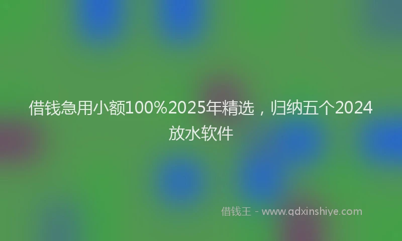 借钱急用小额100%2025年精选，归纳五个2024放水软件