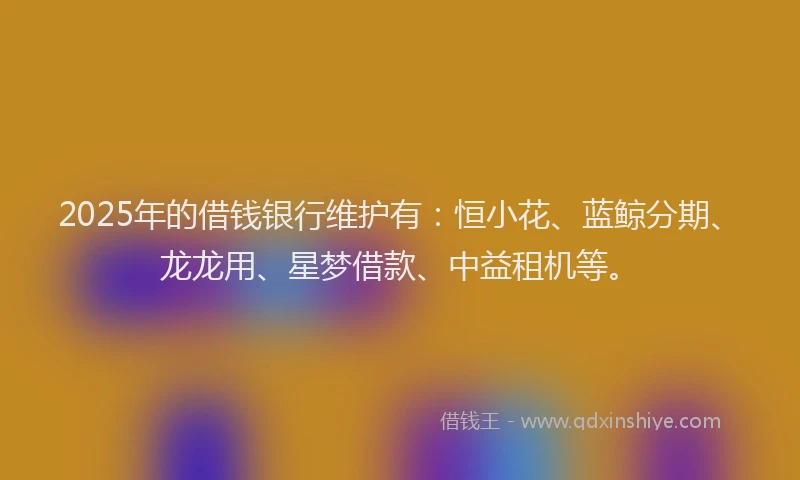 2025年的借钱银行维护有：恒小花、蓝鲸分期、龙龙用、星梦借款、中益租机等。