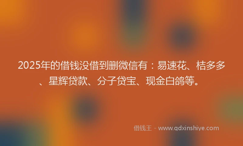 2025年的借钱没借到删微信有：易速花、桔多多、星辉贷款、分子贷宝、现金白鸽等。