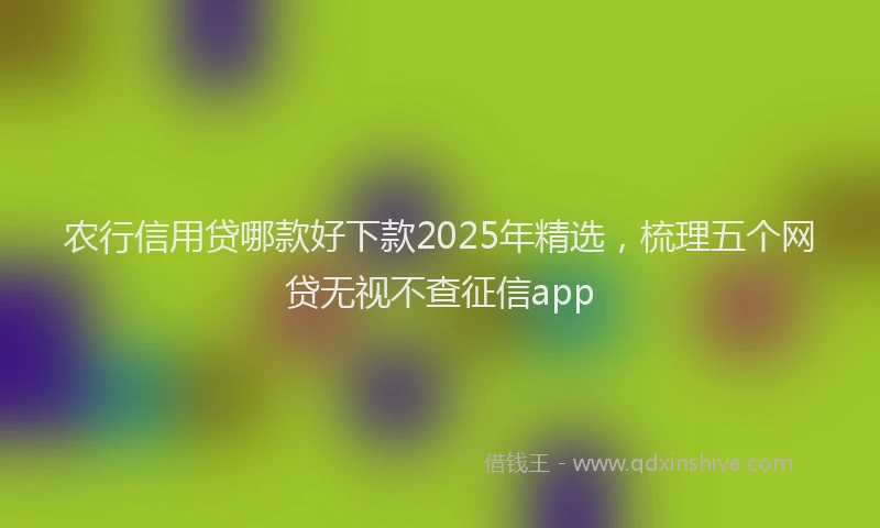 农行信用贷哪款好下款2025年精选，梳理五个网贷无视不查征信app