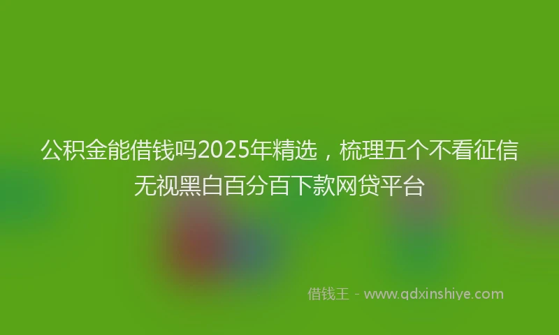 公积金能借钱吗2025年精选，梳理五个不看征信无视黑白百分百下款网贷平台
