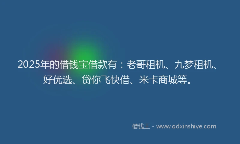 2025年的借钱宝借款有：老哥租机、九梦租机、好优选、贷你飞快借、米卡商城等。