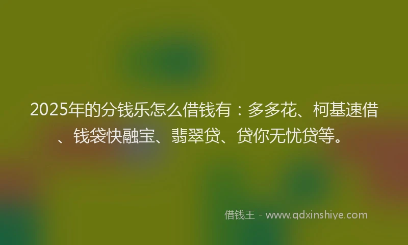 2025年的分钱乐怎么借钱有：多多花、柯基速借、钱袋快融宝、翡翠贷、贷你无忧贷等。