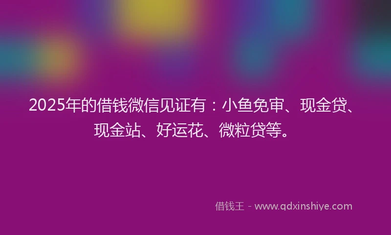 2025年的借钱微信见证有：小鱼免审、现金贷、现金站、好运花、微粒贷等。