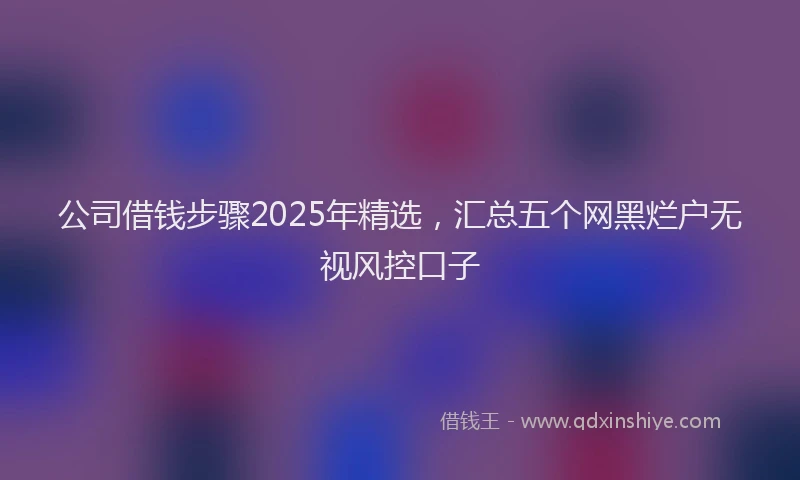 公司借钱步骤2025年精选，汇总五个网黑烂户无视风控口子