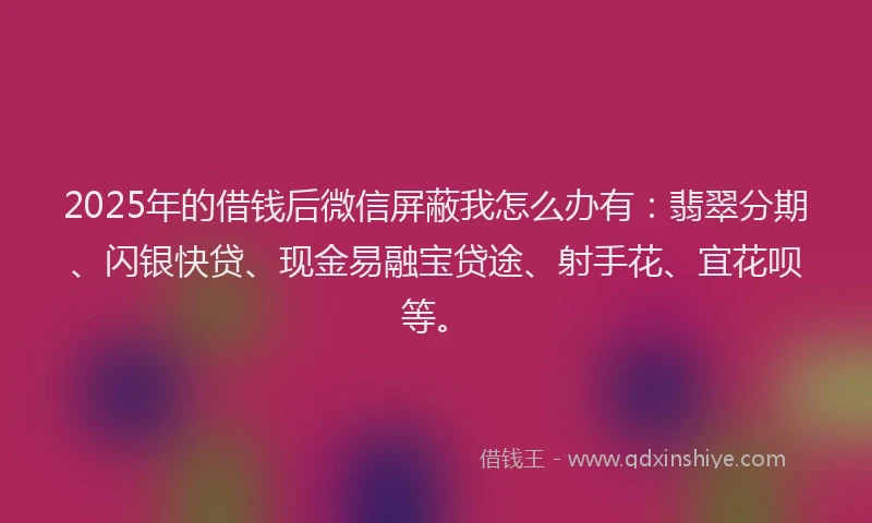2025年的借钱后微信屏蔽我怎么办有：翡翠分期、闪银快贷、现金易融宝贷途、射手花、宜花呗等。