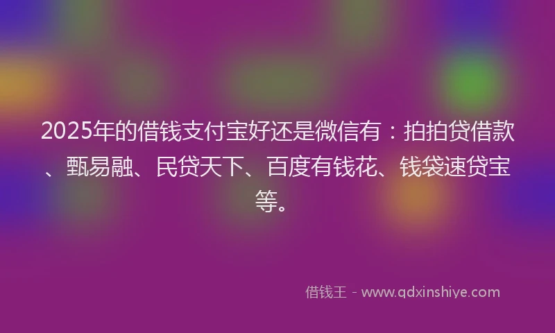 2025年的借钱支付宝好还是微信有：拍拍贷借款、甄易融、民贷天下、百度有钱花、钱袋速贷宝等。